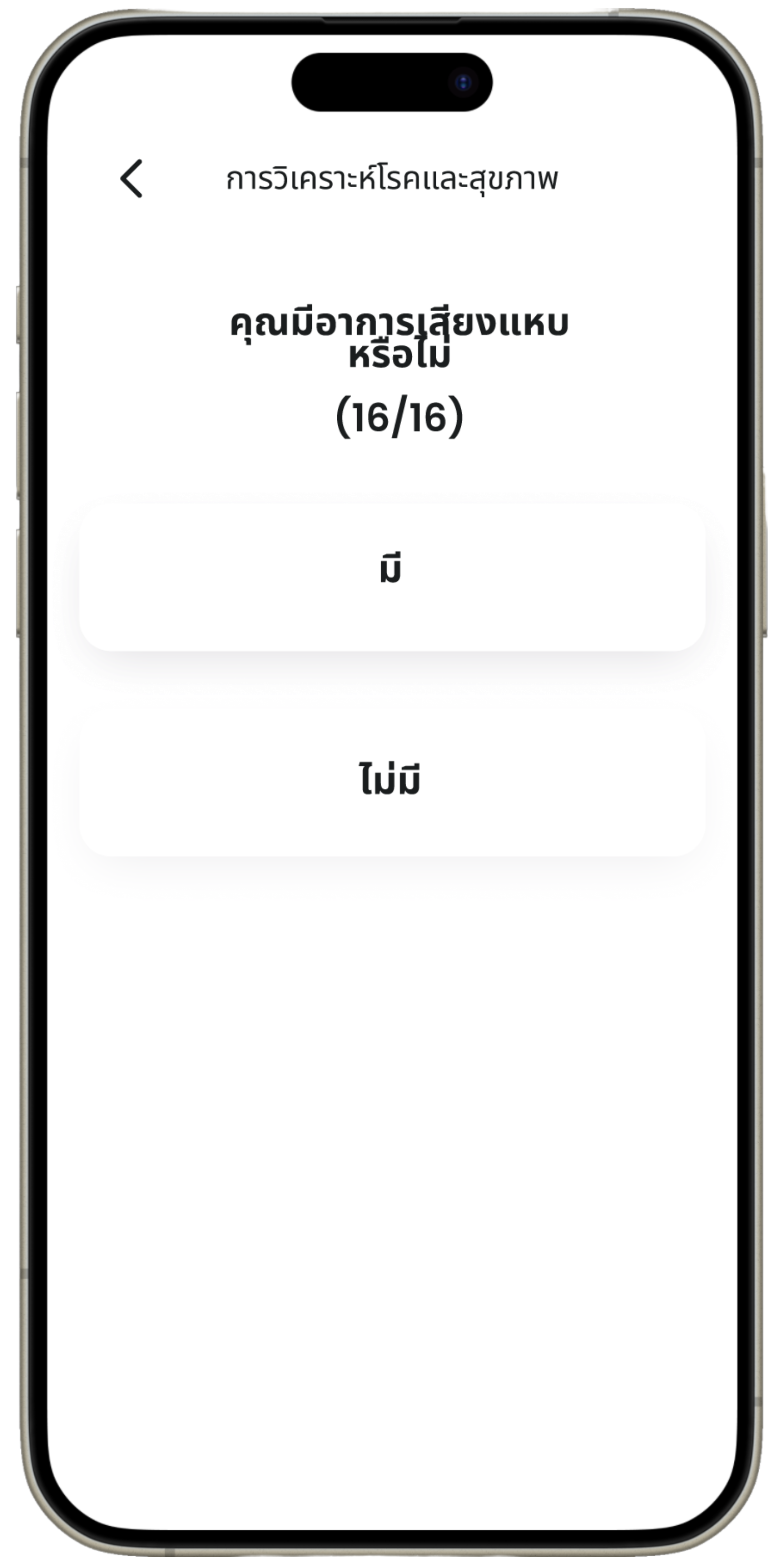 iPhone